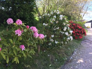 Área da propriedade