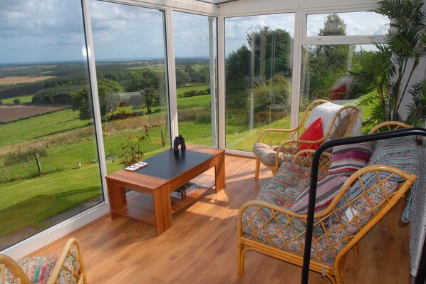 Smart TV, fireplace, DVD player, books