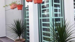 A building entrance with hanging planters and potted plants. - KKP Homestay Alor Setar (Alor Setar)