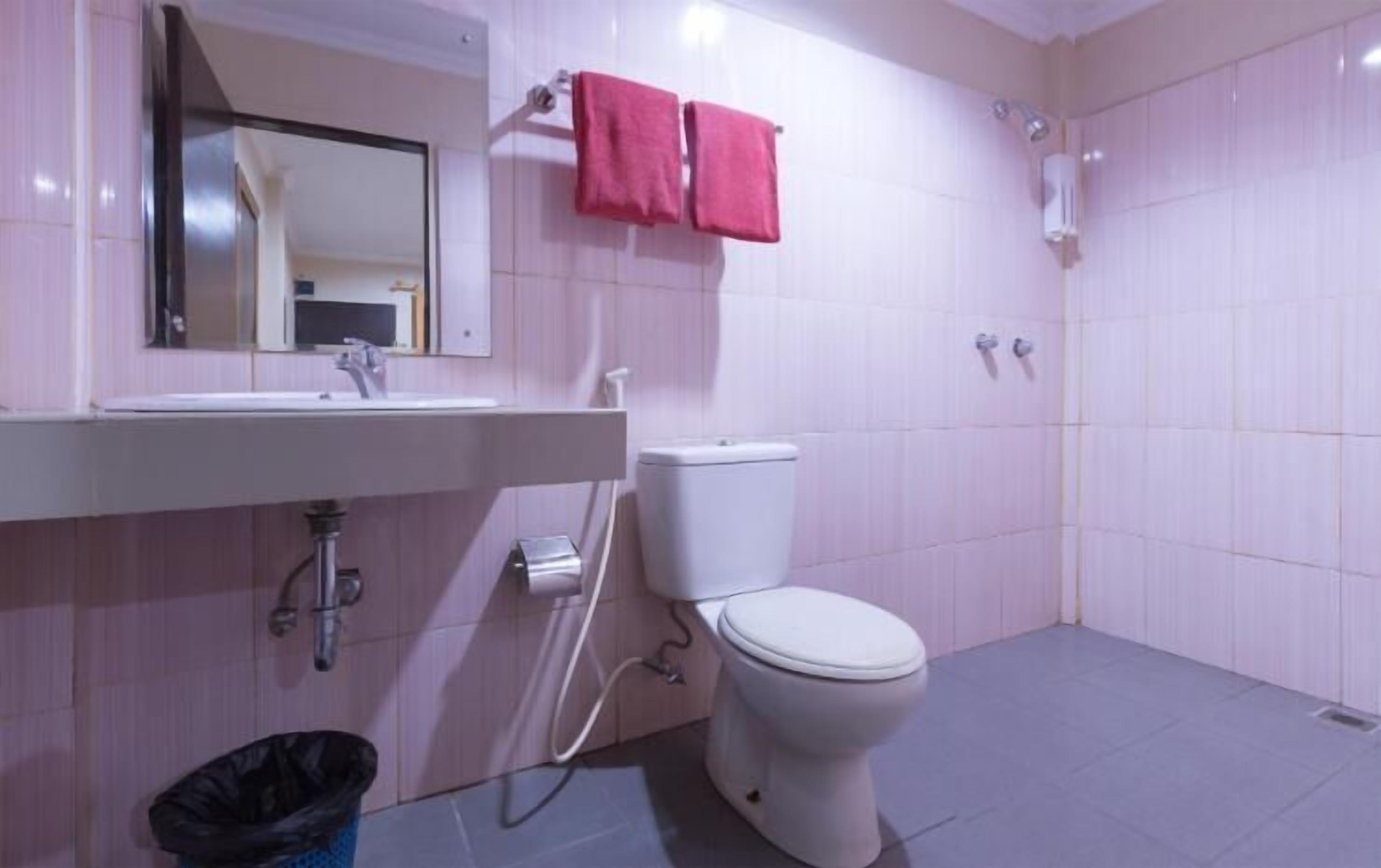 A bathroom with a white sink, a toilet, and a shower area.