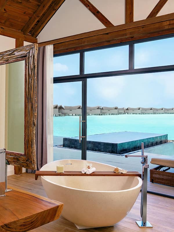 Separate tub and shower, deep soaking tub, rainfall showerhead