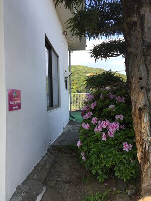 مدخل المنشأة