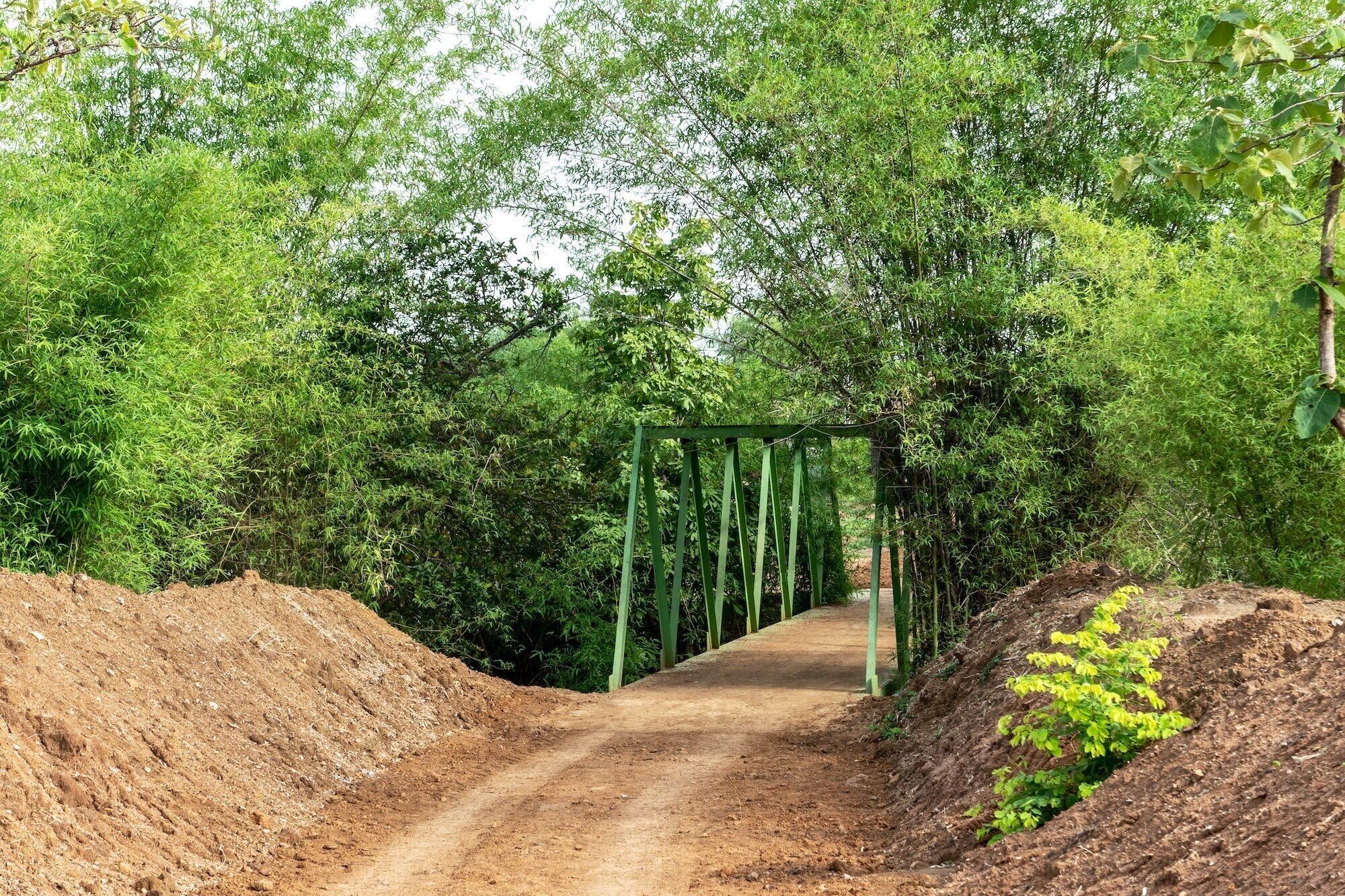 Un sentier de terre mène à un pont métallique vert, entouré d’un feuillage verdoyant et dense.