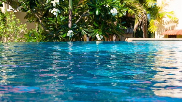 On voit clairement une piscine dont l’eau reflète la végétation environnante, avec un bâtiment en arrière-plan.