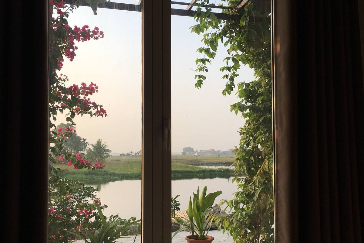 A window with a view of a pond and surrounding greenery, including potted plants.