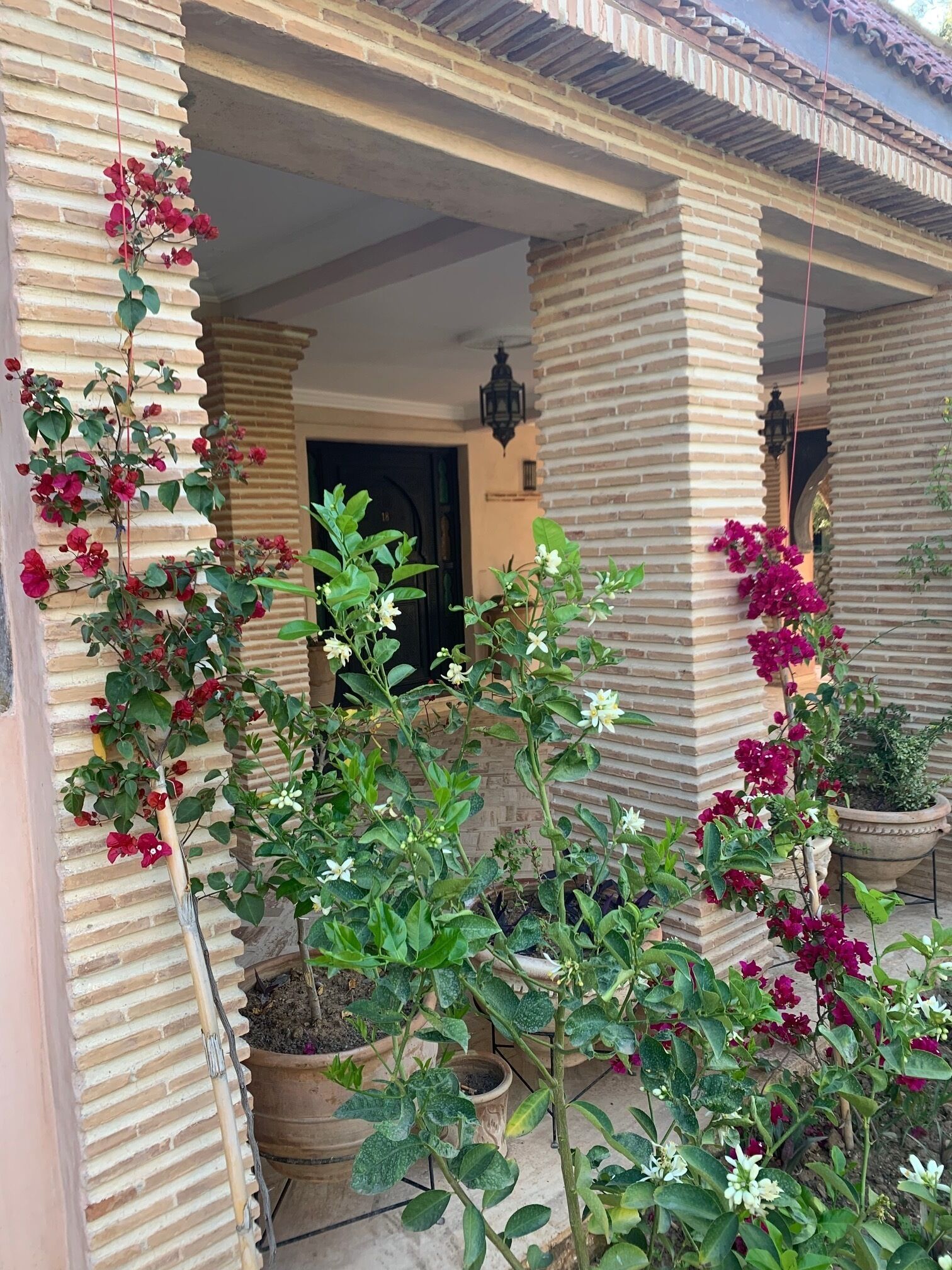Un edificio de ladrillo con un porche cubierto, plantas en macetas y plantas con flores.