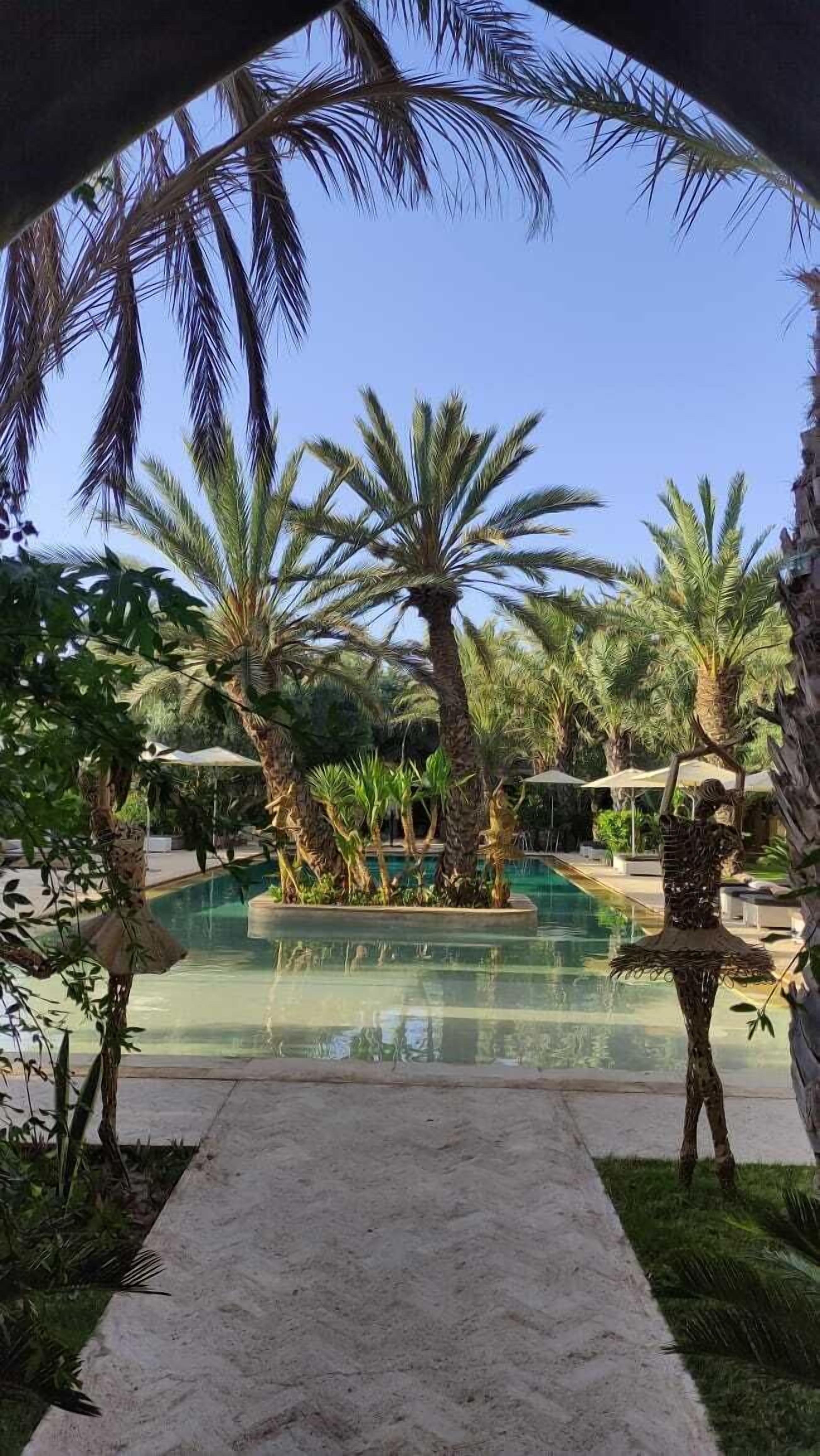 Zona de piscina con palmeras y cielo despejado.