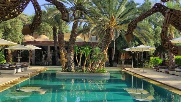 Ein Poolbereich mit Palmen, Liegestühlen und Sonnenschirmen.