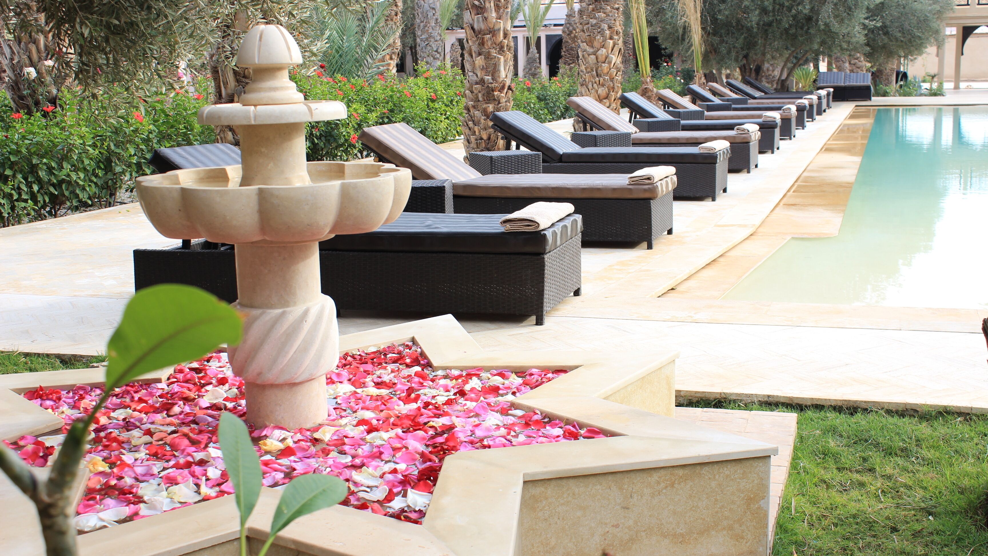 A poolside area with lounge chairs, a decorative fountain, and a star-shaped flower bed with petals.