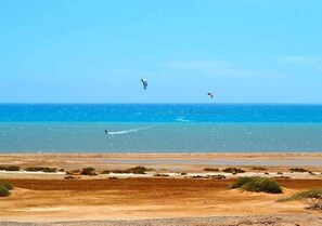 在海灘附近、沙灘巾