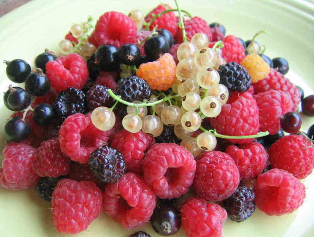A plate of mixed berries and grapes.