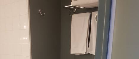 A modern bathroom with a bathtub, a toilet, and a shower area.