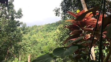 Kawasan hartanah