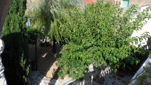 A courtyard with stone walls, a tree, and a potted plant. - Clos Mazerolles (Cruzy)