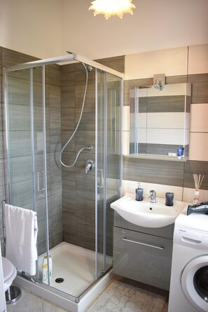 Shower, hair dryer, bidet, towels