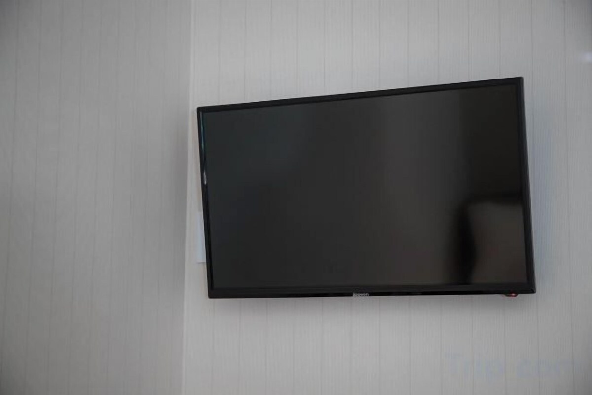 電視