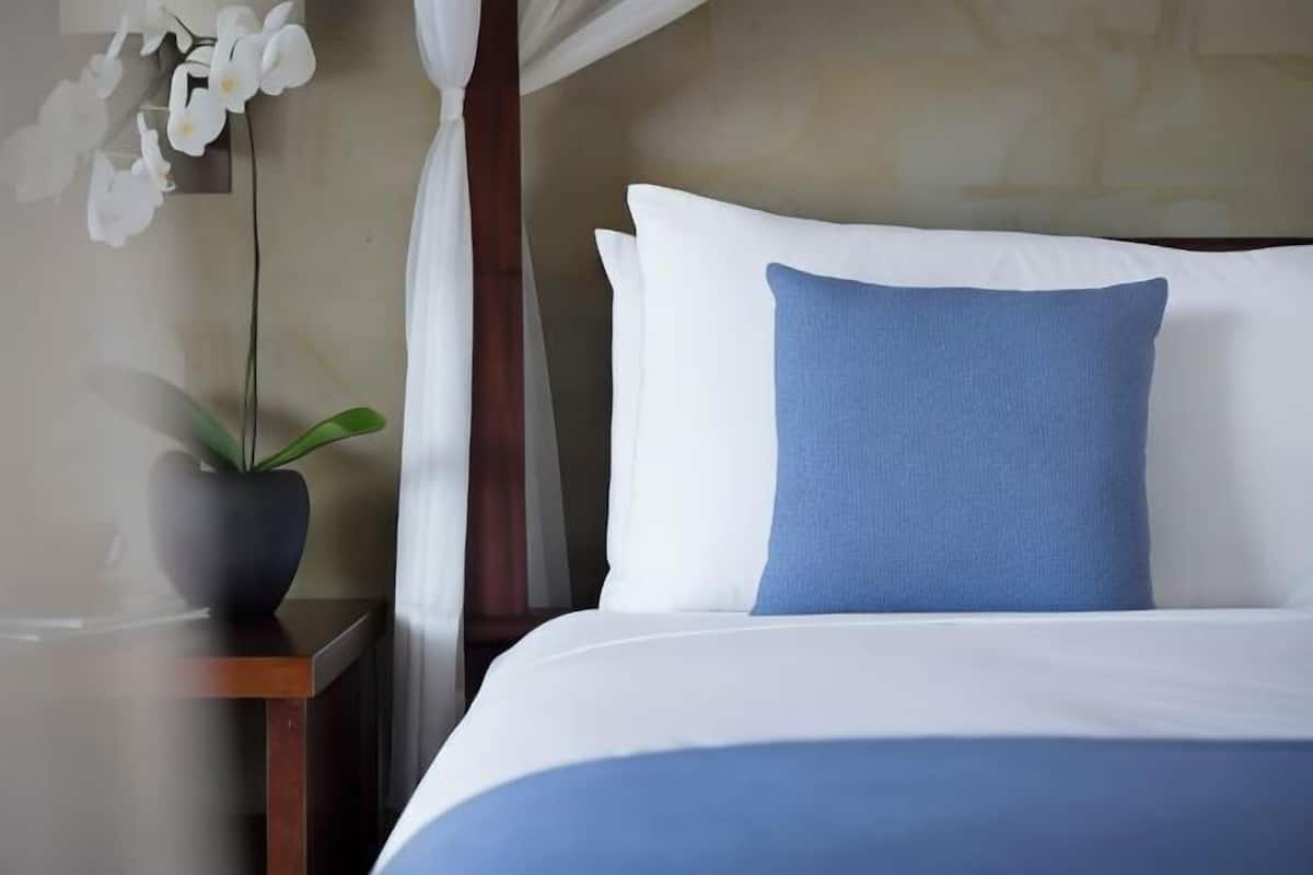 Premium bedding, free minibar items, in-room safe