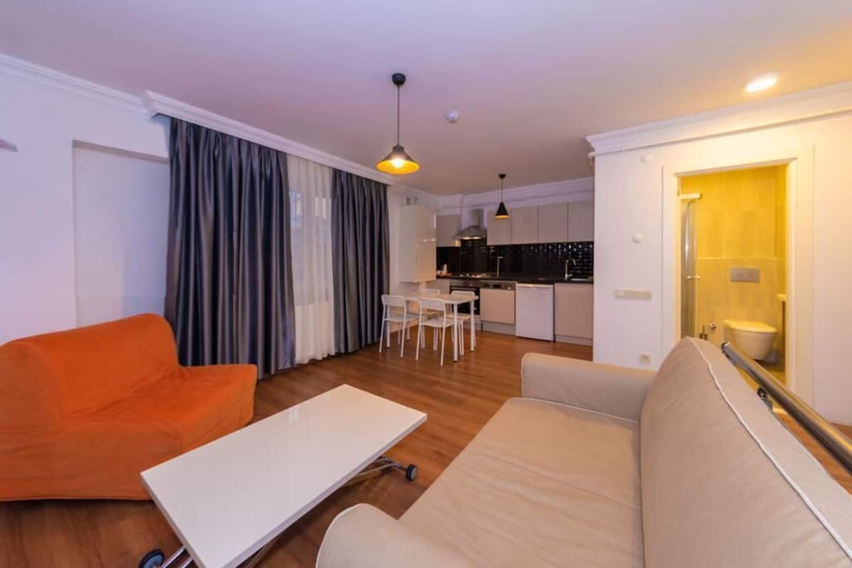 A compact living space with a sofa, a dining table, and a kitchenette.