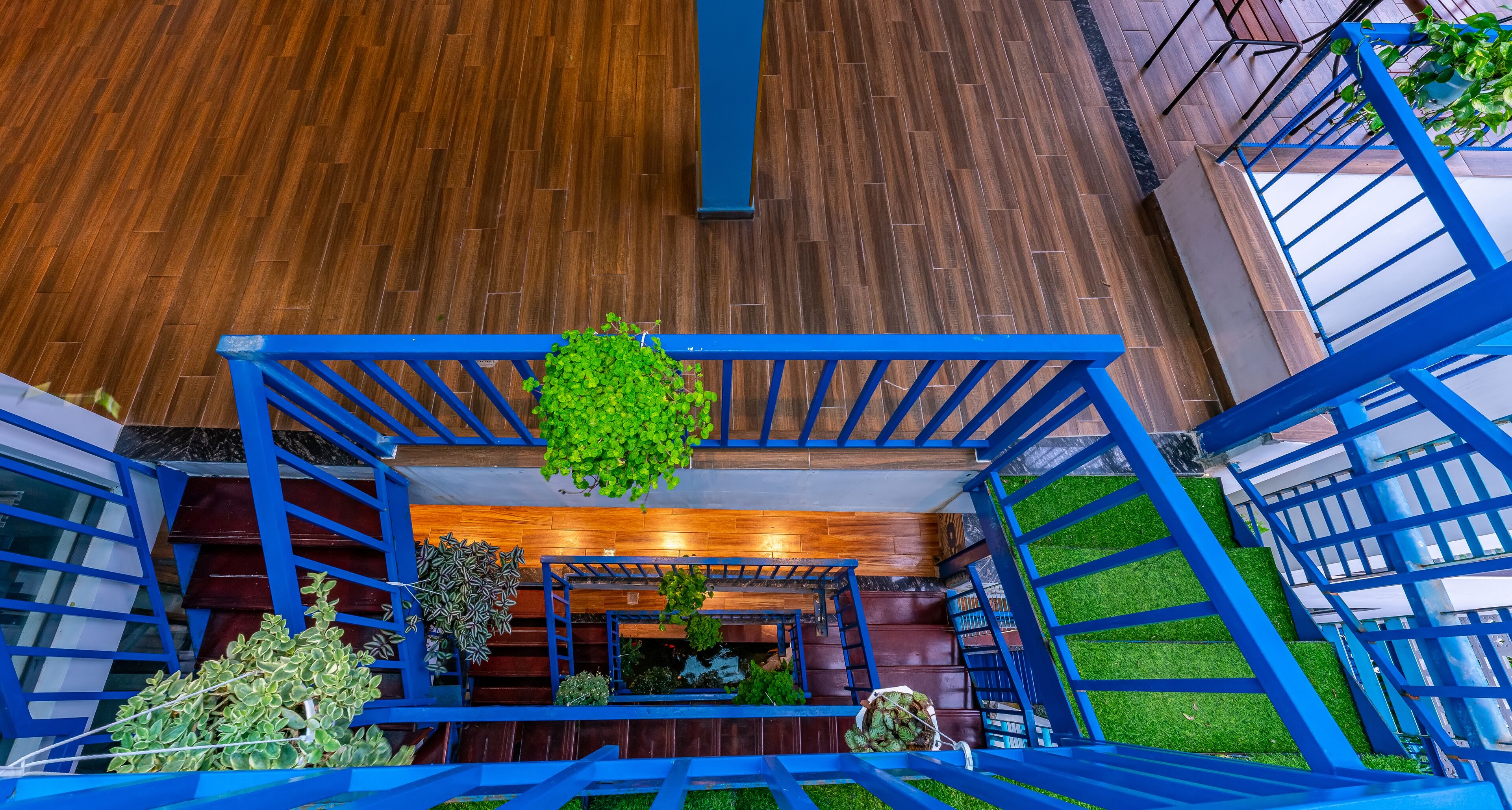 A modern staircase with blue railings, wooden flooring, and green plants.
