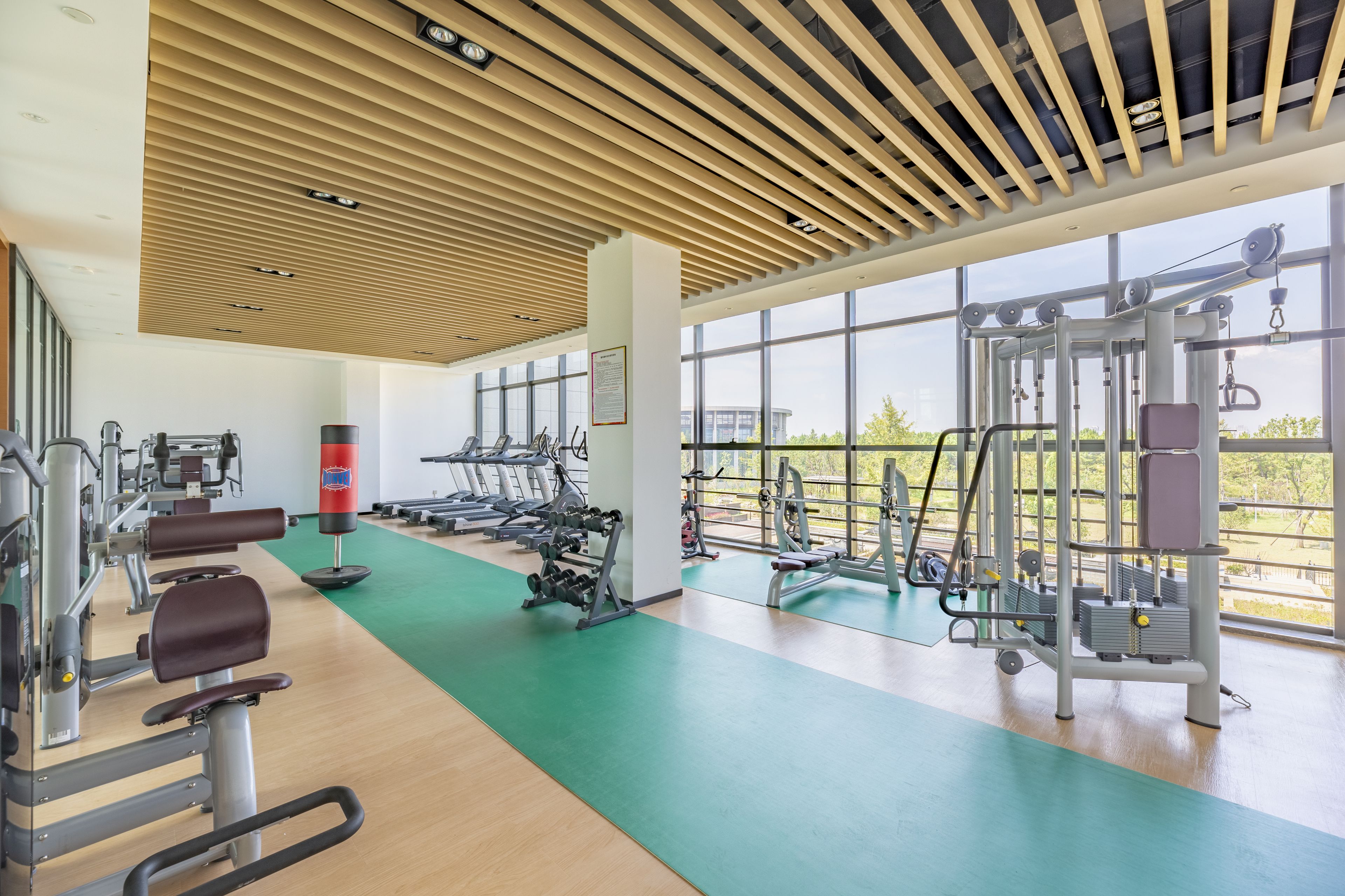 Un gimnasio con diversas máquinas de ejercicio, suelo verde y ventanas amplias.