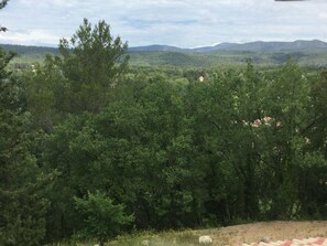 Vista desde la habitación