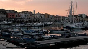 Marina com vários barcos atracados, um calçadão à beira-mar e edifícios históricos ao fundo.