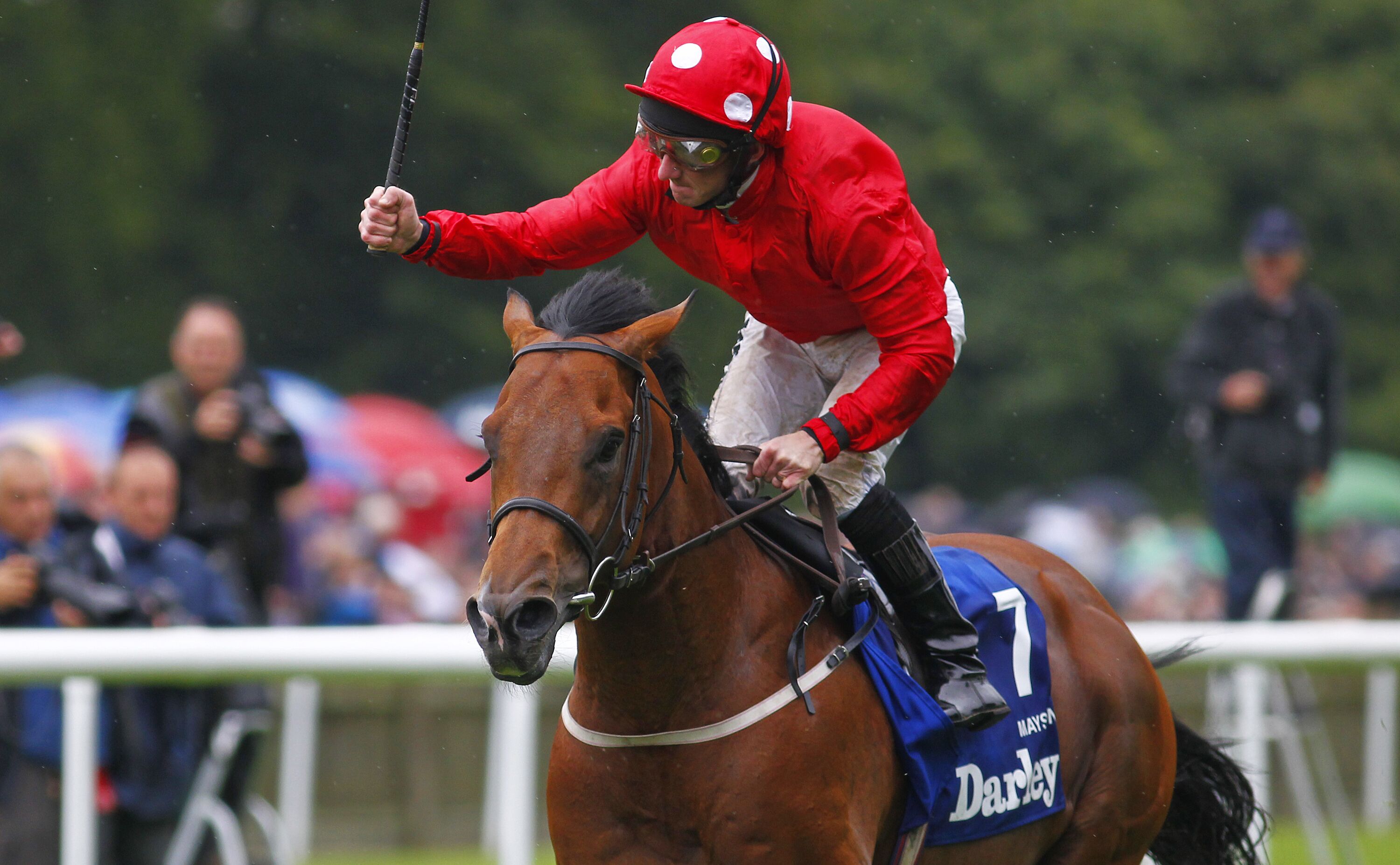 Un jockey à cheval, portant le numéro de course 7, une veste rouge et un pantalon blanc, dans le cadre d’une compétition hippique.