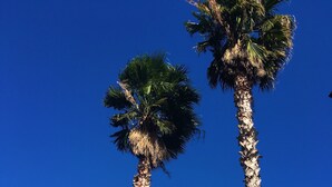 Unclassified image, 2 of 55, button - Seafront in the City (Catania)