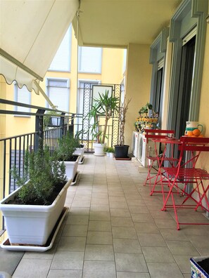 Terraza o patio