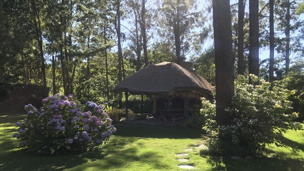 A gazebo in a forested area with a stone pathway leading to it. - Verde Verde (Punta del Este)