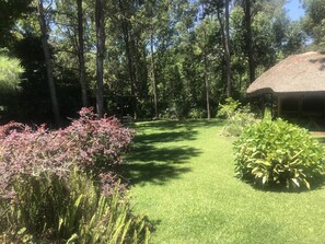 A well-maintained garden with a variety of plants and a thatched-roof structure. - Verde Verde (Punta del Este)