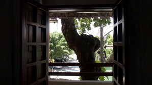 Land view from property - Luar Da Sereia Pousada (Ipojuca)