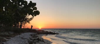 L'automne est un moment merveilleux à visiter!🏝