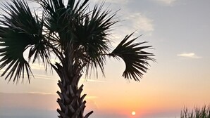 A palm tree in the foreground with a sunset in the background. -  24 hour gated community Beach House , Surfside Beach  SC (Surfside Beach)