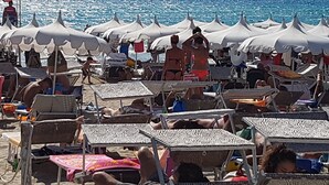 A beach with numerous white umbrellas and sun loungers arranged in rows. - Clara Domus (Gallipoli)