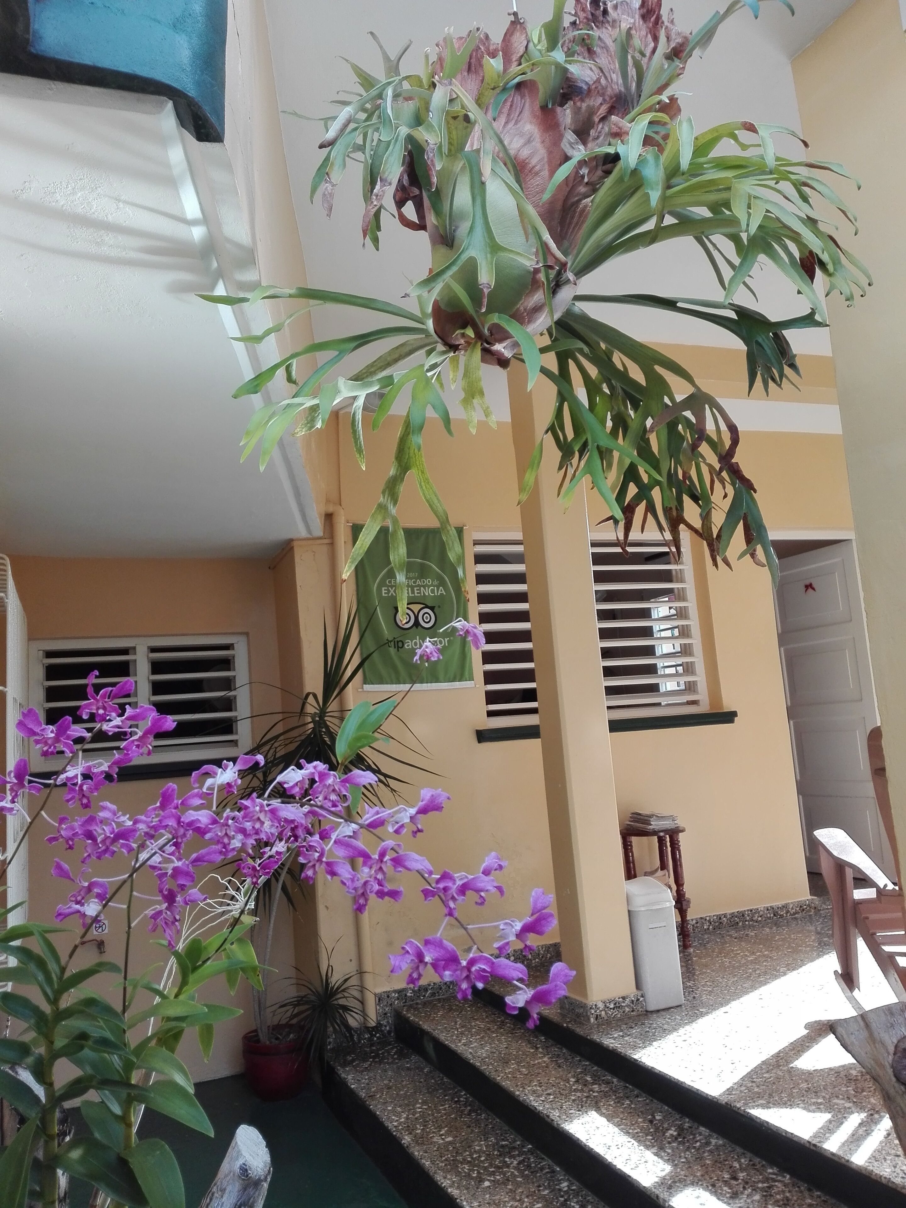 Casa Particular “Villa El Coral”