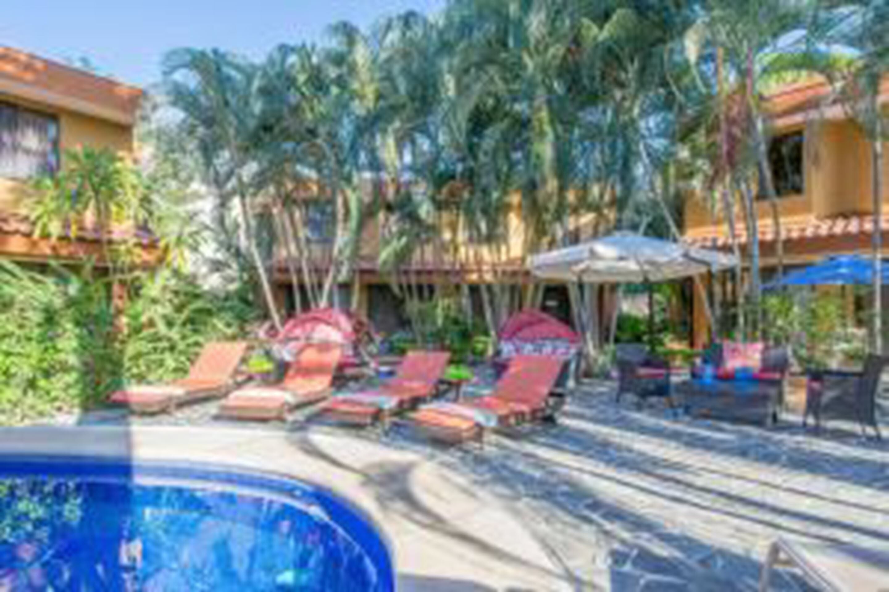 outdoor pool, pool umbrellas, pool loungers