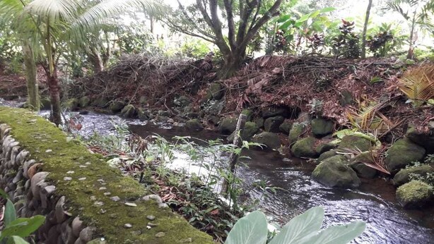 Lake - Cabinas  Dantas (La Fortuna)