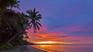 A beach with palm trees and a sunset. - Sea Winds Luxury Villas (Korolevu)