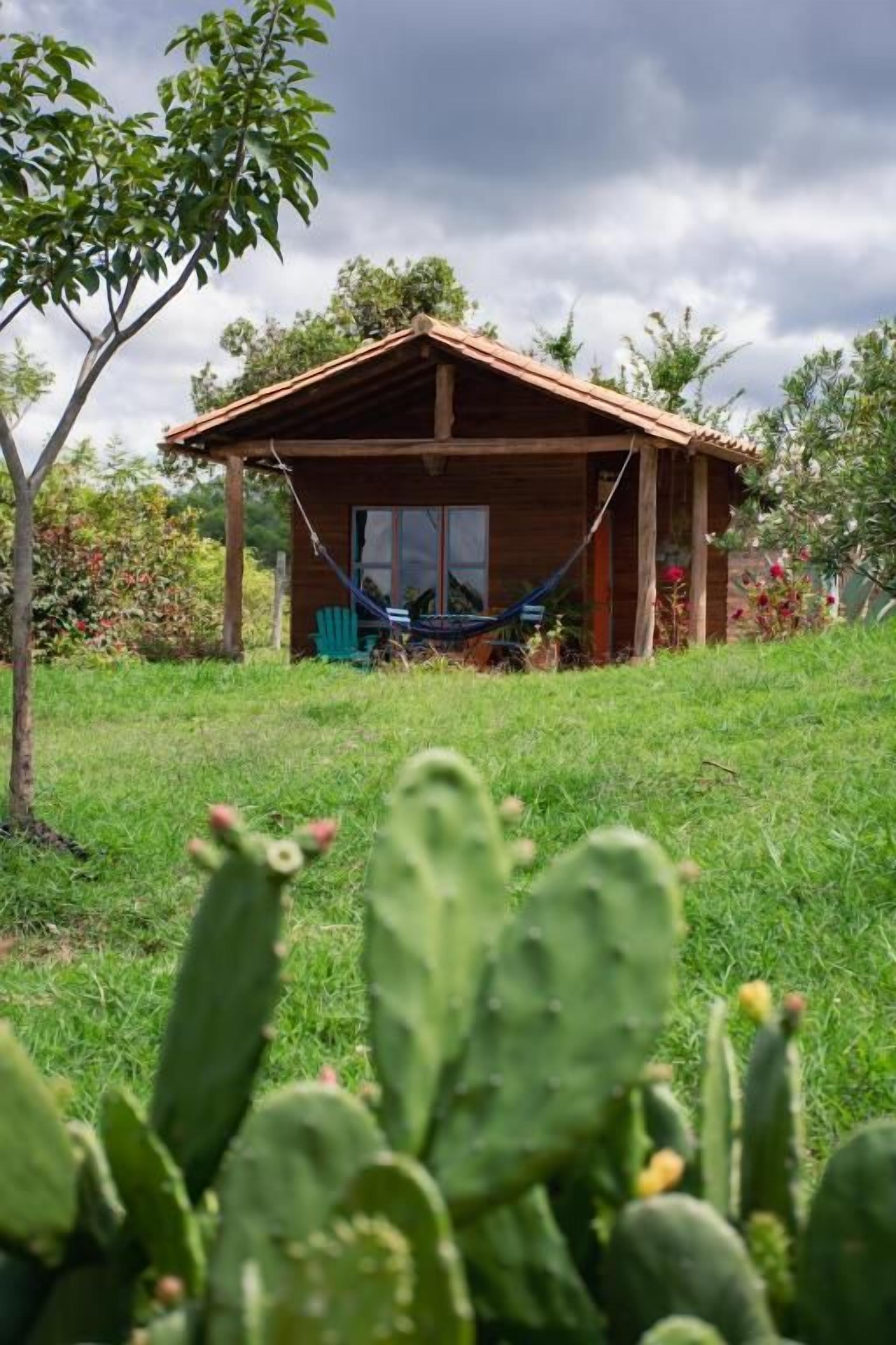 A wooden cabin with a hammock and a green chair in a grassy area with cacti.