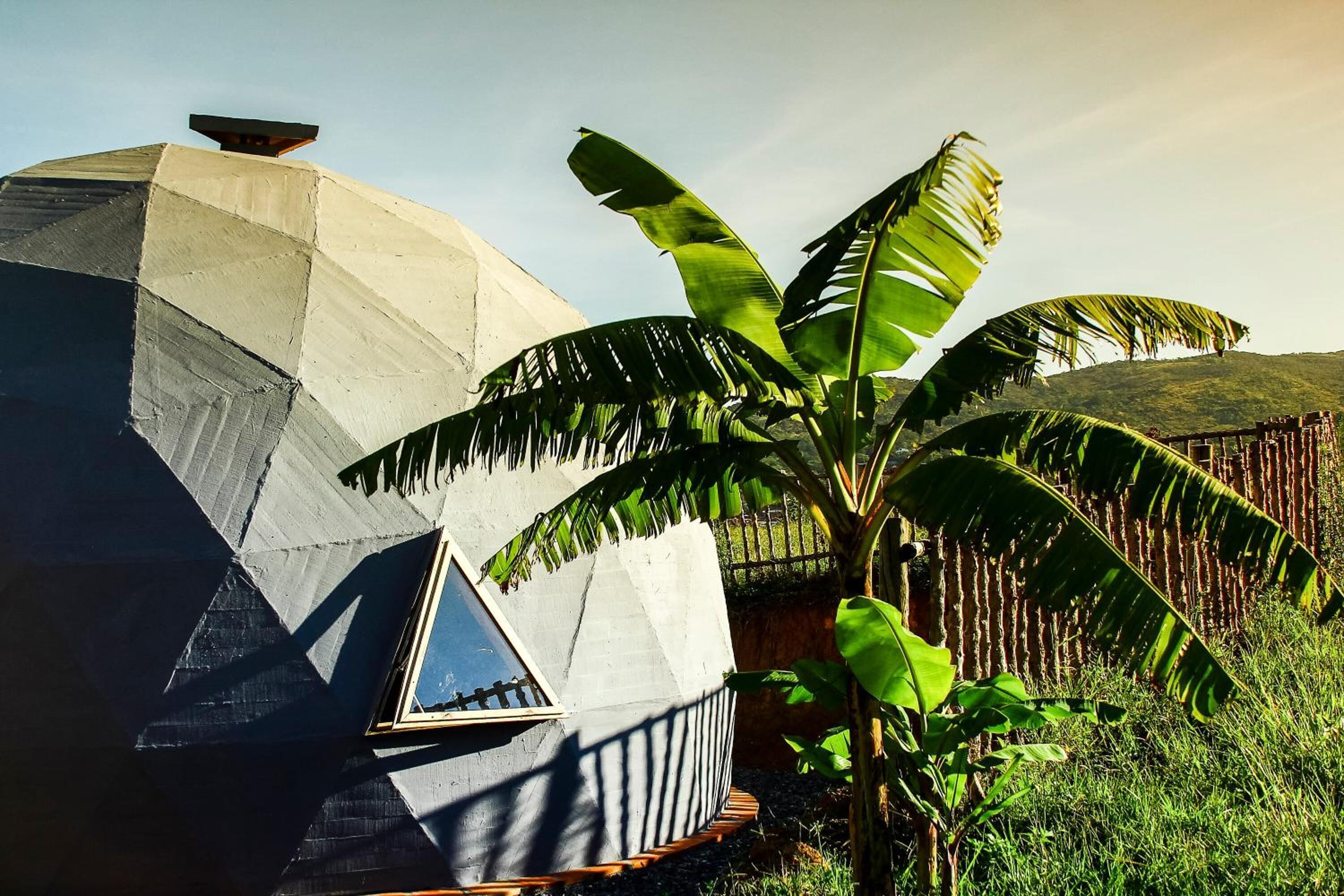 Ein modernes, geometrisch gestaltetes Gebäude mit einem dreieckigen Fenster und einem geneigten Dach, umgeben von üppiger Vegetation und Bananenpflanzen.
