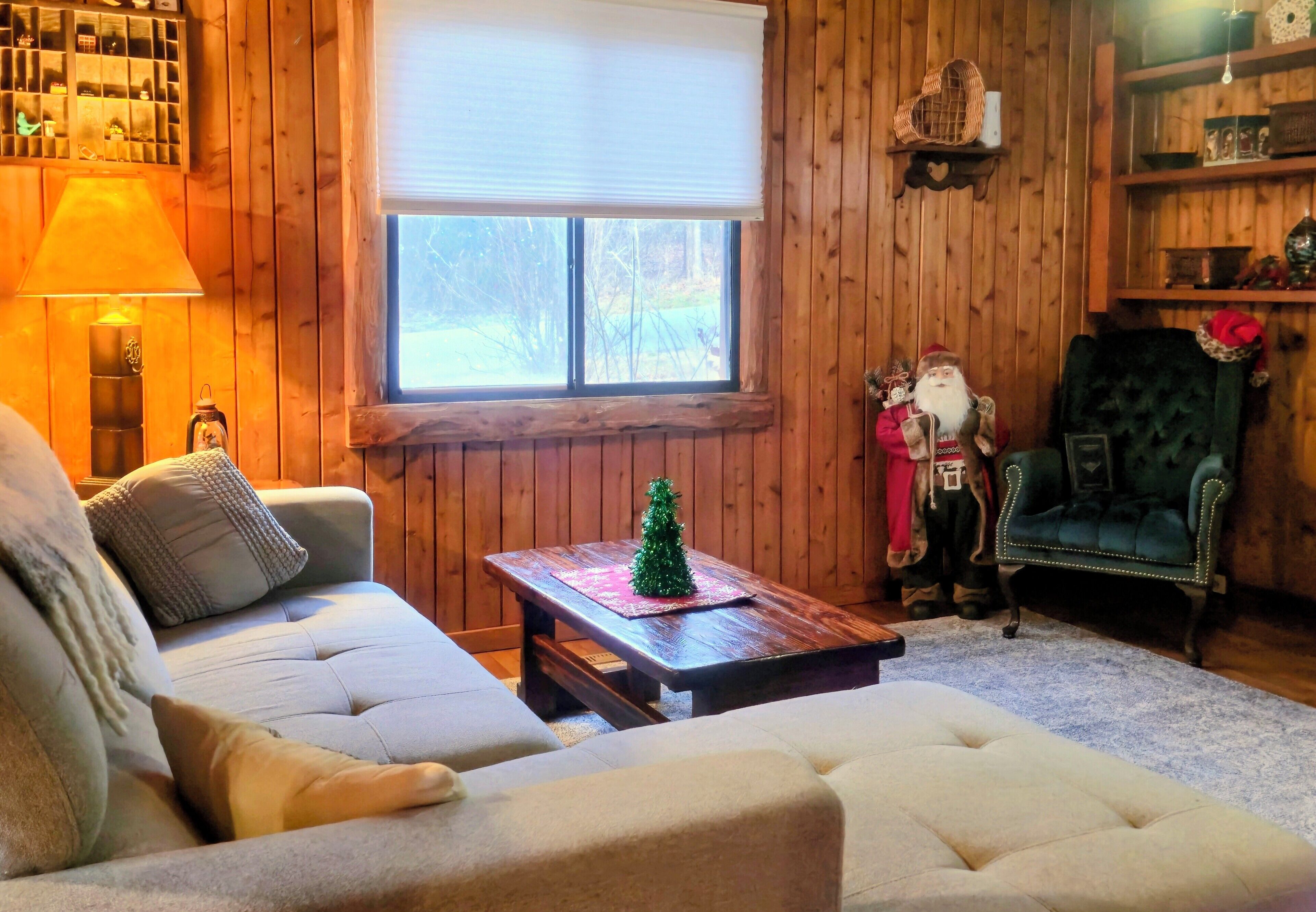 Smart TV, chimenea y reproductor de DVD 