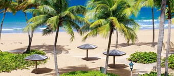 2/2 Beachfront inside Wyndham Resort, Puerto Rico