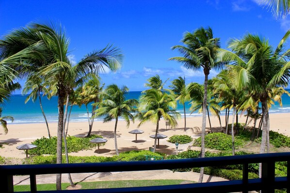 En la playa, camastros y toallas de playa 