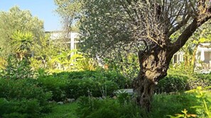 Khuôn viên nơi lưu trú