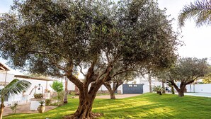 A large tree in a well-maintained grassy area with a white building in the background. - House near the sea, with shared pool, Marsala, Sicily - Marsala 2 (Marsala)