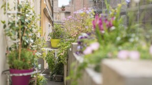 En smal passage med plantekasser og blomster, et træhegn og en bygning med facade af mursten.