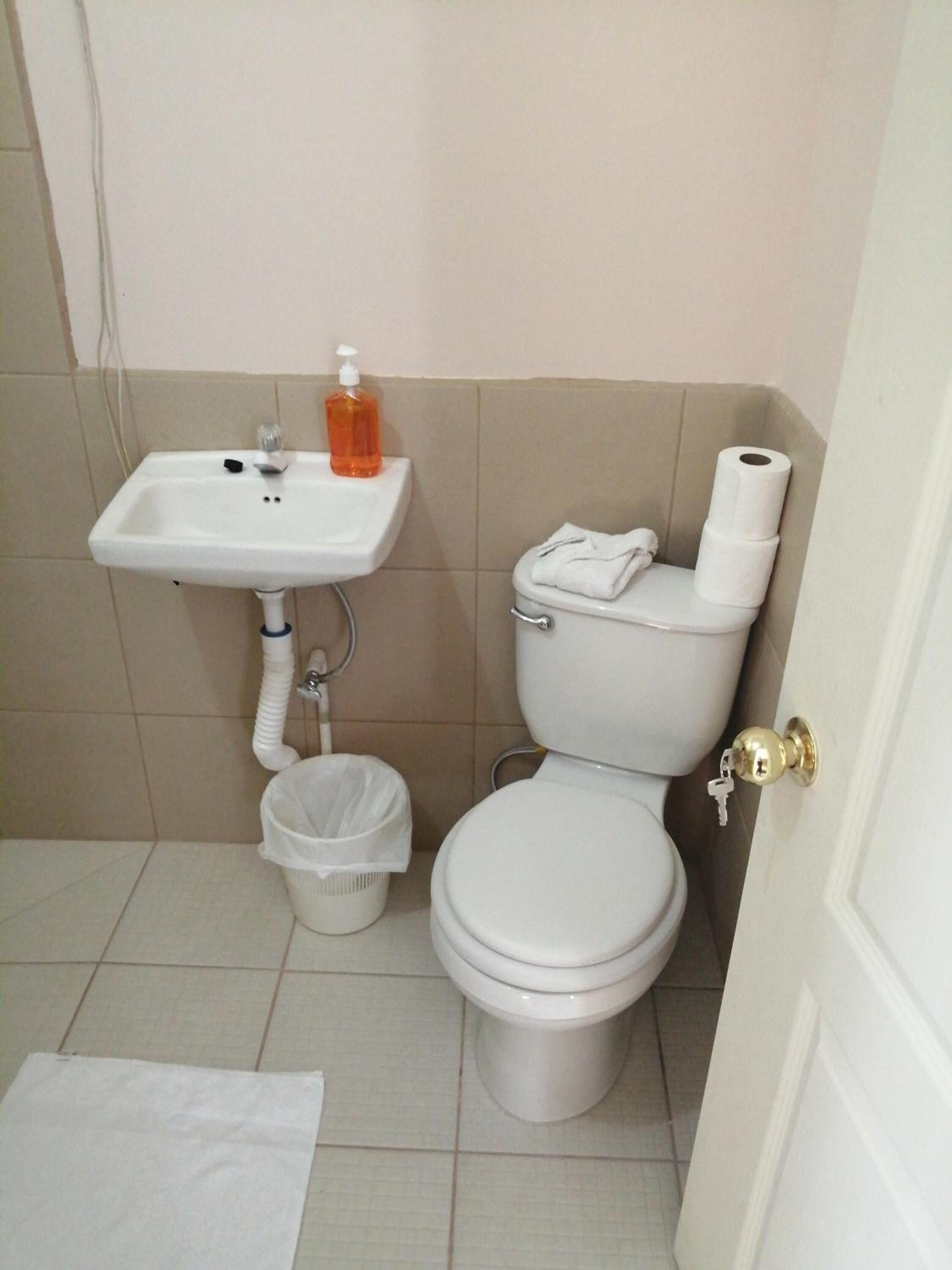 shower, rainfall showerhead, free toiletries, hair dryer