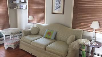Smart TV, fireplace, DVD player, books