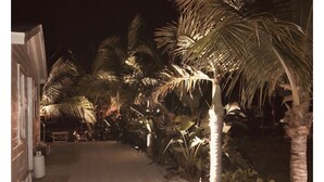 A nighttime view of a paved pathway flanked by palm trees and a building with illuminated windows. - NEW!!  The “WATERSIDE” COTTAGE~With dockage (Bokeelia)